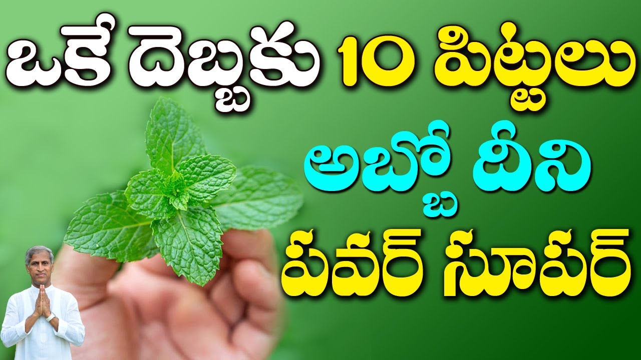 Powerful Benefits of Mint Leaves and Oil You Can't Ignore | Dr Manthena Satyanarayana Raju Videos