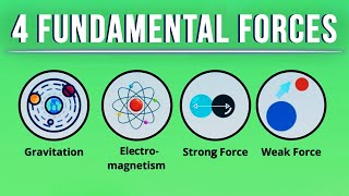 Exploring the Forces that Govern Subatomic Interactions