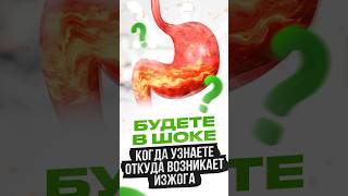 БУДЕТЕ В ШОКЕ когда узнаете откуда возникает изжога #изжога #питание #николайпанасюк