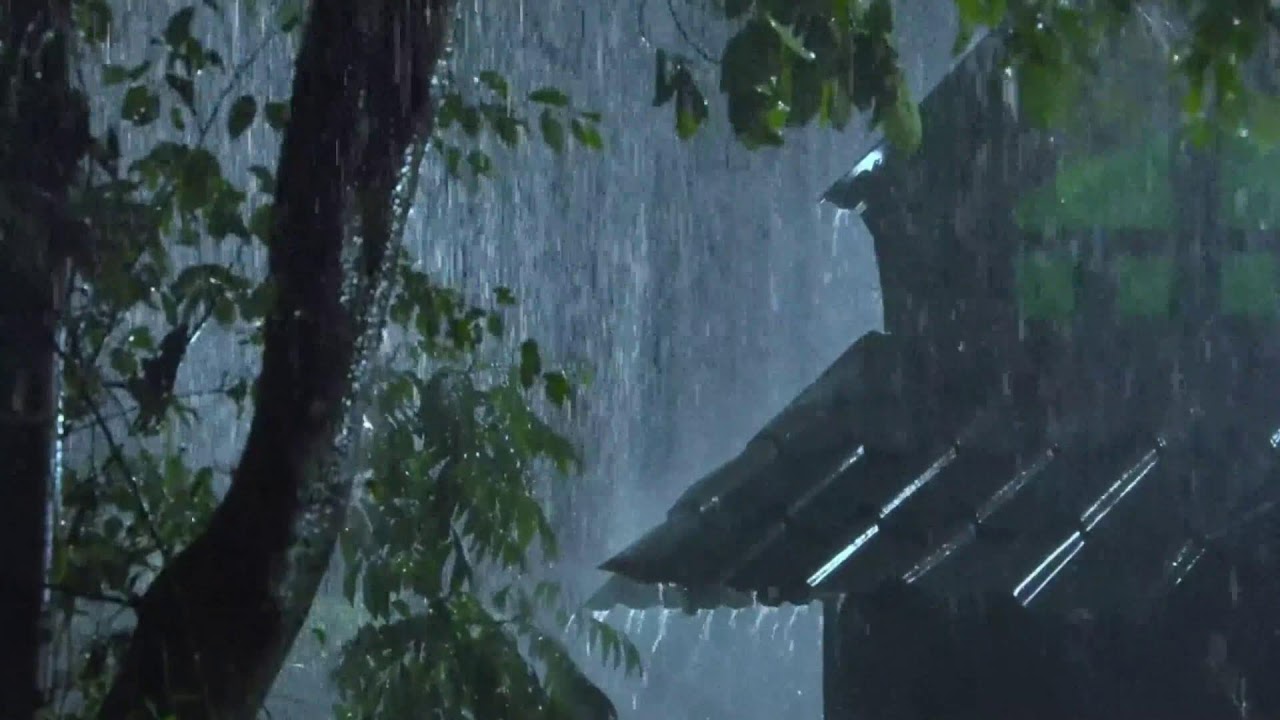 Escape the Chaos: Cozy Rain ASMR for Deep Focus, Sleep & Ultimate Calm ☕️🌧️