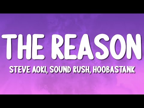 Steve Aoki Sound Rush Hoobastank The Reason Lyrics 