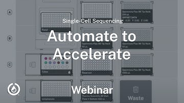 Automate to accelerate: How to streamline single cell sequencing with automation