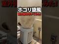 エアコン室外機、叩くとホコリが爆発する理由