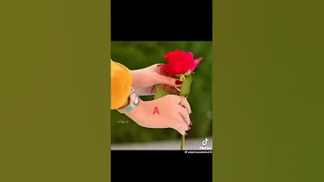 Sirba Jalala 