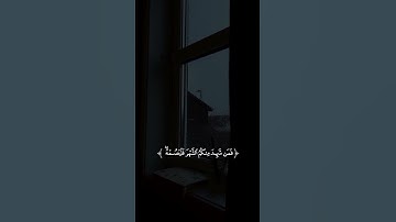 شهر رمضان الذي أنزل فيه القرآن/القارئ ياسر الدوسري #قرآن