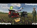 🌽 RÉCOLTE DE MAÏS & PRÉTAILLER LES VIGNES 🍇 | Farming Simulator 25 | Pallegney Ép19