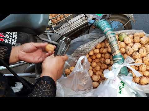 中國甘肅省 天水市 新鮮核桃 |  Cracking walnuts with nut cracker in Tianshui, Gansu China.
