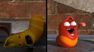 Day in the life! | LARVA | Cartoons for Kids | WildBrain Happy