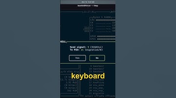 Use Btop instead of Htop on Linux