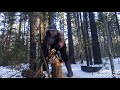 За белыми грибами с пилой в минус двенадцать.