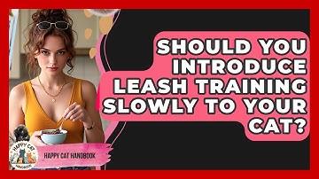 Should You Introduce Leash Training Slowly To Your Cat? - Happy Cat Handbook