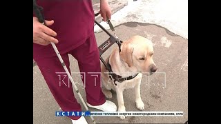 Слепого инвалида вместе с собакой-поводырем в метель выгнали из междугороднего автобуса