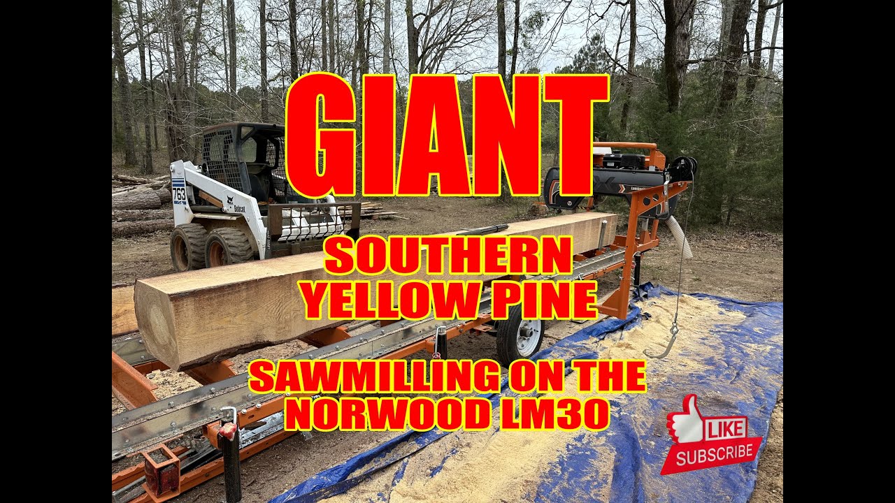 Beautiful Huge Southern Yellow Pine Sawmilling on the Norwood LM30 ...