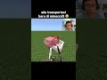 Momen Update Sulfur Cube Minecraft