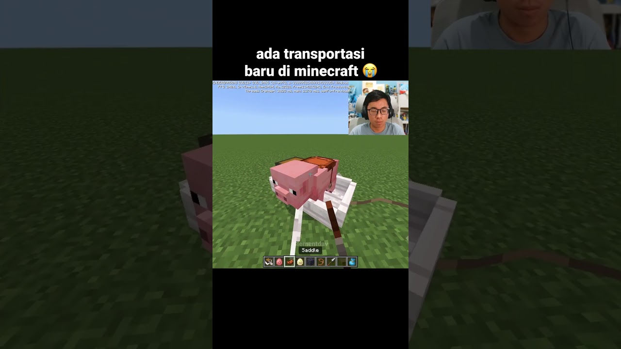 Momen Update Sulfur Cube Minecraft