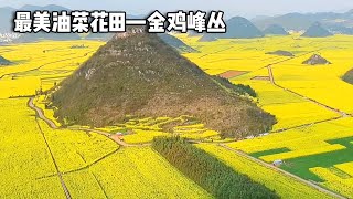 The most beautiful rape field  nature's visual feast  walking in the flowers is too comfortable! Be by 行走世界的北京老刘 1,998 views 2 weeks ago 9 minutes, 26 seconds