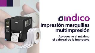 Impresión Multiple para MH241T