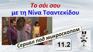 11.2 – Сериал под микроскопом – видео анализ