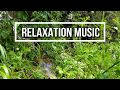 Relaxing Harp Music: Sleep Music, Stress Relief,  Spa Music, Background Music  in 4k