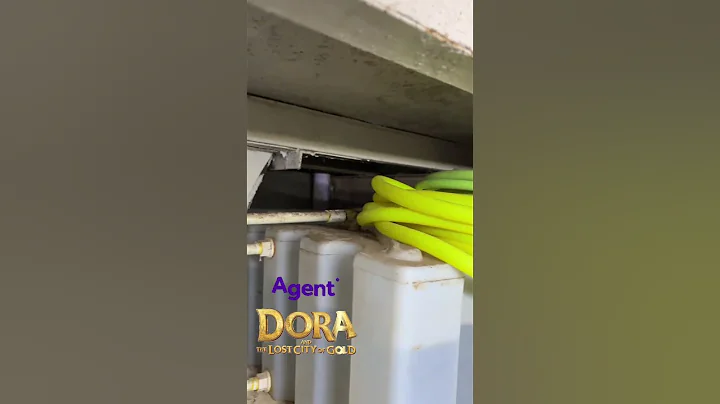 Video 11726321: himalayan persian cat