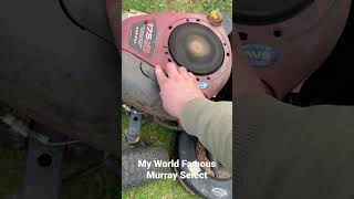 My World Famous Murray Select STILL LIVES.