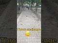 Throw challenge 🤩 #cricket #viral #Shorts