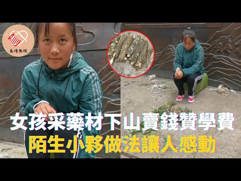 女孩艱辛采藥材下山賣錢贊學費，陌生小夥做法讓人感動 #真情無限 #暖心 #暖心故事 #正能量 #淚目 #生活 #溫暖 #社會新聞 #老人 #感動