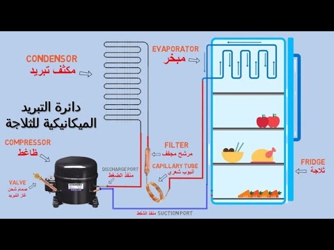 فيديو: شبكة المبرد كعنصر زخرفي