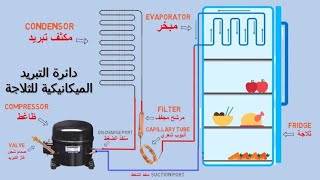 دائرة التبريد الميكانيكية في الثلاجة و المجمدات شرح الأجزاء والوظائف | Fridge cooling system diagram