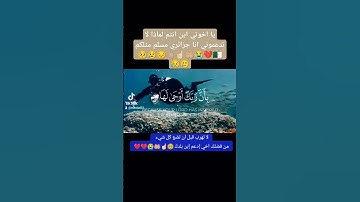 سورة ازلزله بصوت الشيخ خالد خالد #اكسبلور #تيك_توك #لايك #ترند #tiktok #الجزائر #دعاء