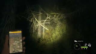 theHunter disappearing tracks bug