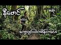 ကျော့ကွင်းထဲကမိန်းကလေး - စဆုံး