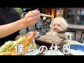 トイプードルと独男のノープランな秋の旅【軽井沢】