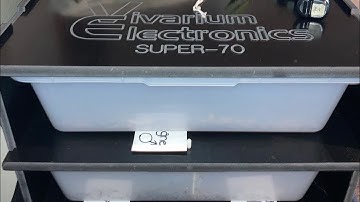 REVIEW on the Vivarium Electronic Super/70!!