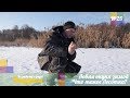 Ловля окуня взимку. Що таке Лесотка? | Риболовля з Дядьком Федіром №25