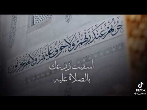 يا محمد يا محمد يا بائعا في ارضي شيله بدر العزي الجديده تيك توك