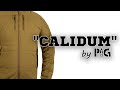 Куртка демісезонная "CALIDUM" (Polartec Power-Fill) Mil-Spec від P1G®