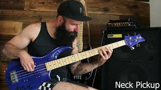 Brotherly - True (bass cover)
