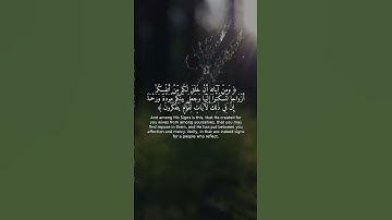 تلاوة خاشعة | سورة الروم 21 | آية تبعث الطمأنينة ❤️