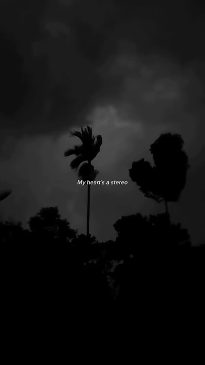 Gym Class Heroes - Stereo Hearts | My heart's a stereo | Aesthetic #song #lyrics #stereohearts