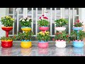 Amazing Ideas, Recycle plastic bottles into beautiful and colorful flower pots