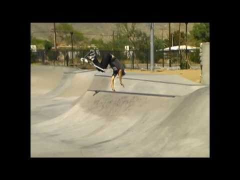 John Radtke Old Dirt Scooter Clips