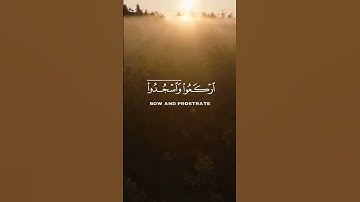 تلاوة خاشعة - عبد الرحمن #اكسبلور #قرآن #تلاوة_خاشعة #تريند