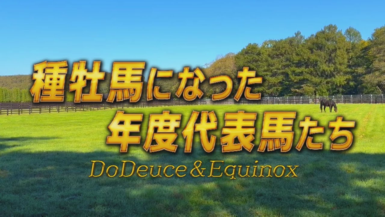 【タートピッ！SP】種牡馬になった年度代表馬たち　～ドウデュース・イクイノックス～ | JRA公式