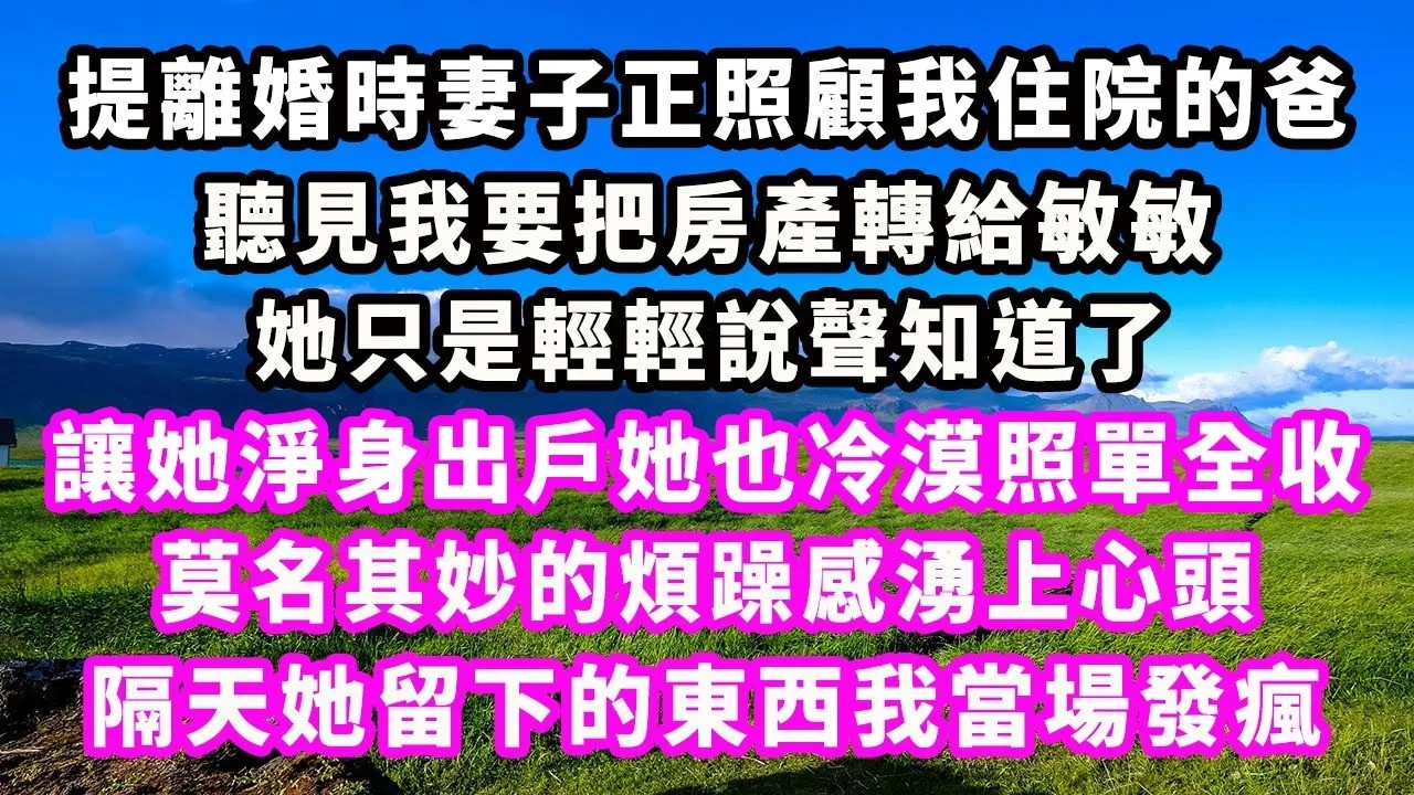 提離婚時妻子正照顧我住院的爸，聽見我要把房產轉給敏敏，她只是輕輕說聲知道了，讓她淨身出戶她也冷漠照單全收，莫名其妙的煩躁感湧上心頭，隔天她留下的東西我當場發瘋#爽文#大女主#現實情感#家庭