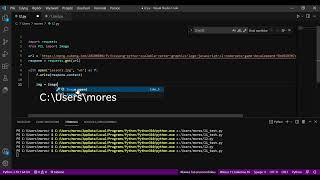 Download photo to requests-python