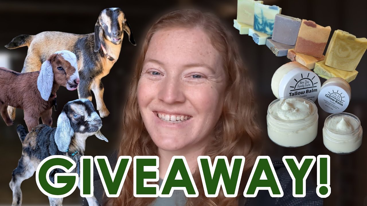 Baby Goat Naming GIVEAWAY!