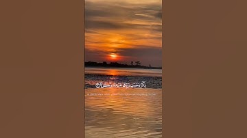 ماتيسر من سورة مريم بصوت هادئ وعذب 🎧