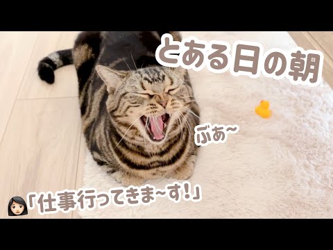 おかんが仕事に行く前の､とある日の朝。