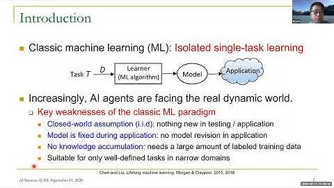Learning on the Job in the Open World